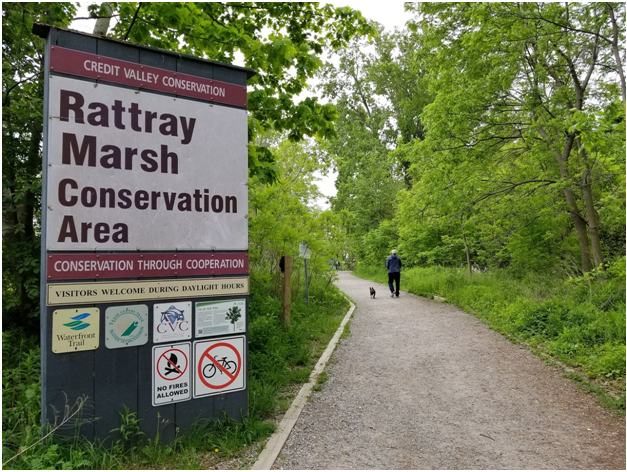 Rattray Marsh