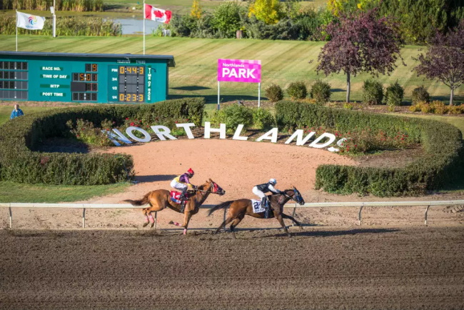 Northlands-Park-Horse-Racing-Casino