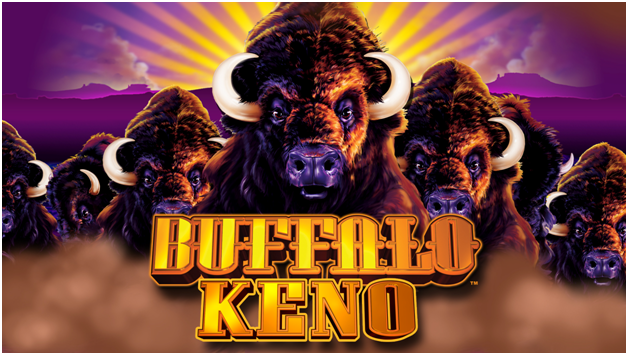 What is Buffalo Keno Slot Machine to Play and Win?